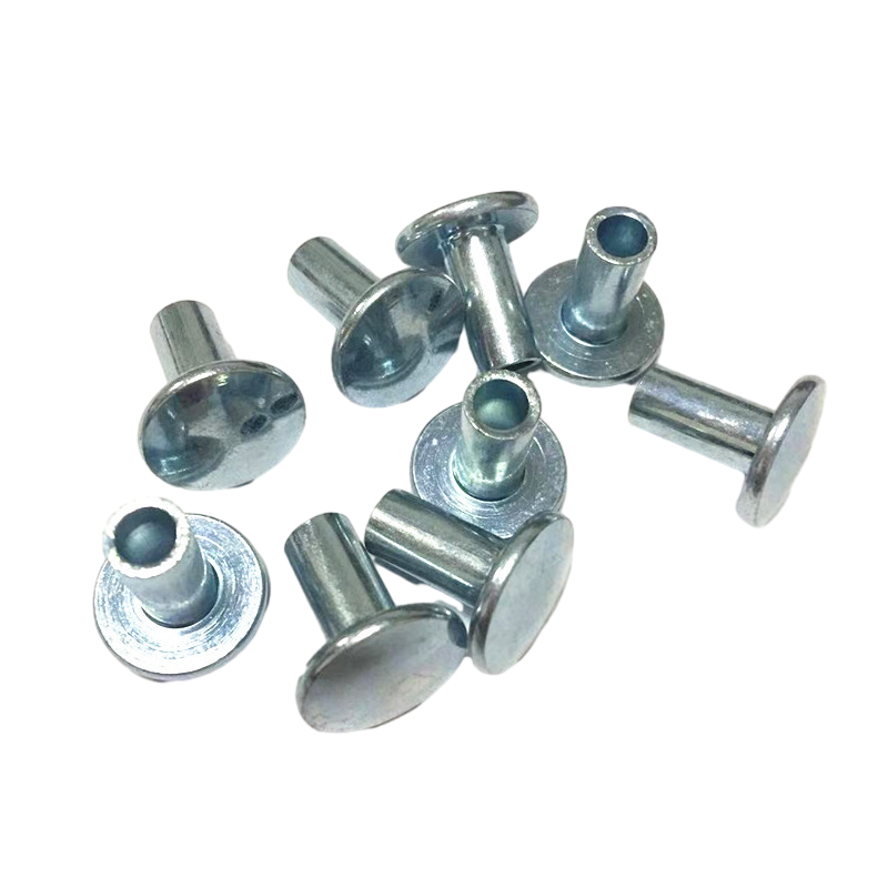 Half Blind Flat Round Big Head Semi Tubular Screw Rivet