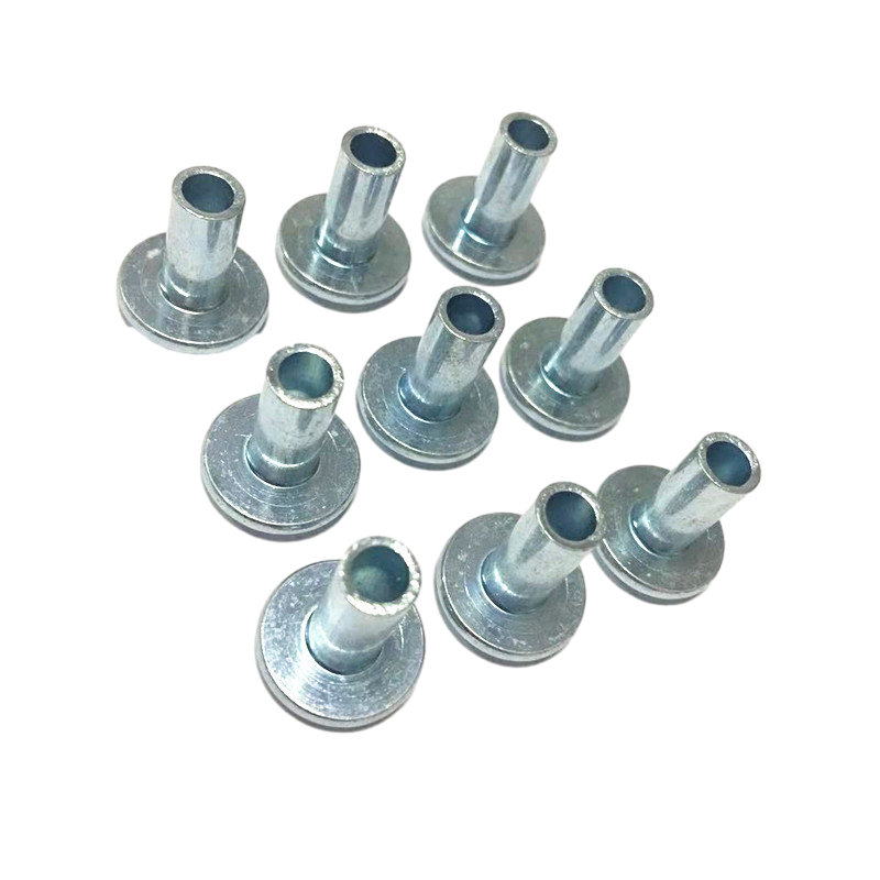 Half Blind Flat Round Big Head Semi Tubular Screw Rivet