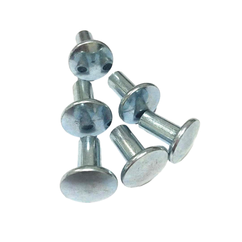 Half Blind Flat Round Big Head Semi Tubular Screw Rivet