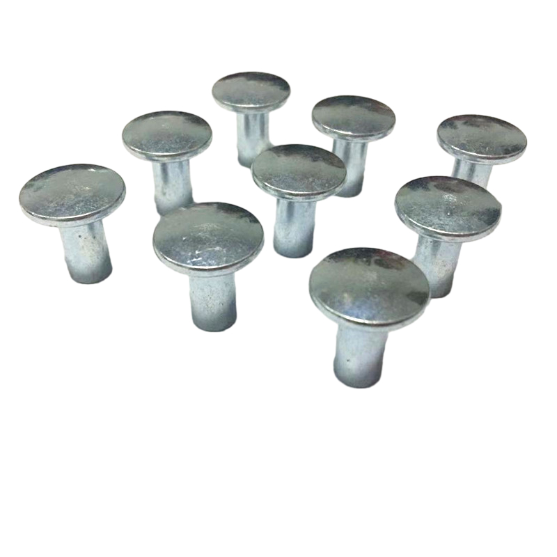 Half Blind Flat Round Big Head Semi Tubular Screw Rivet