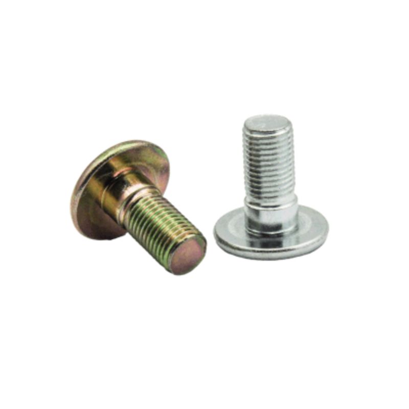 Torx Mounting Screw