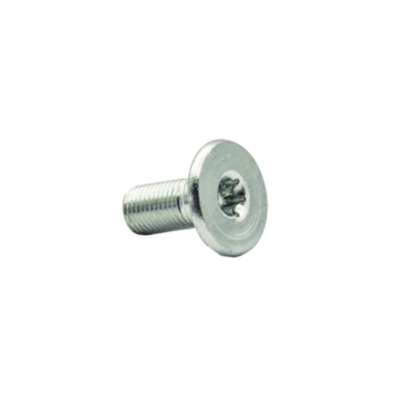 Torx Mounting Screw