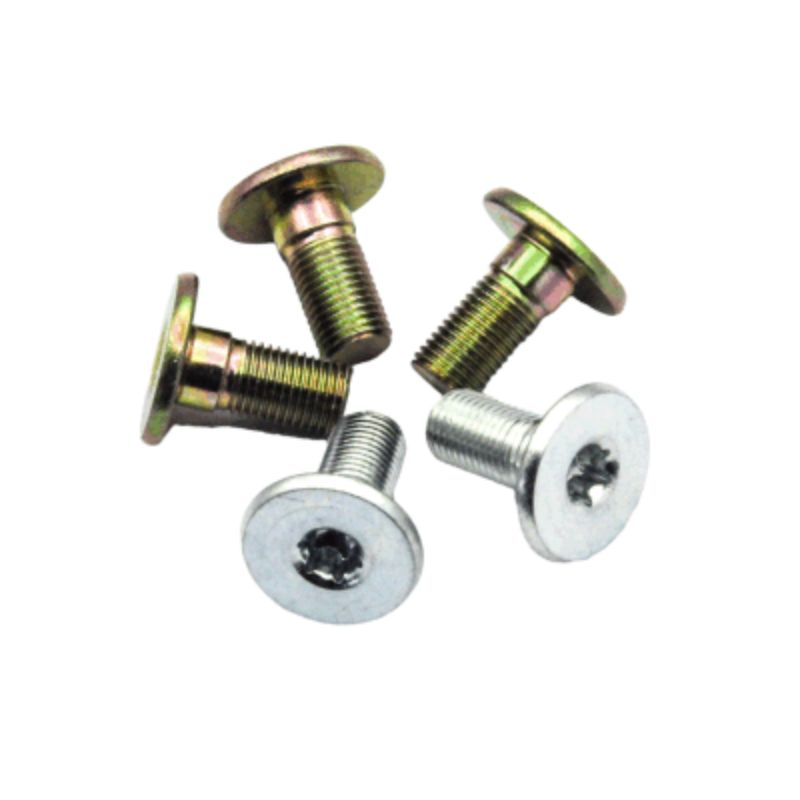 Torx Mounting Screw