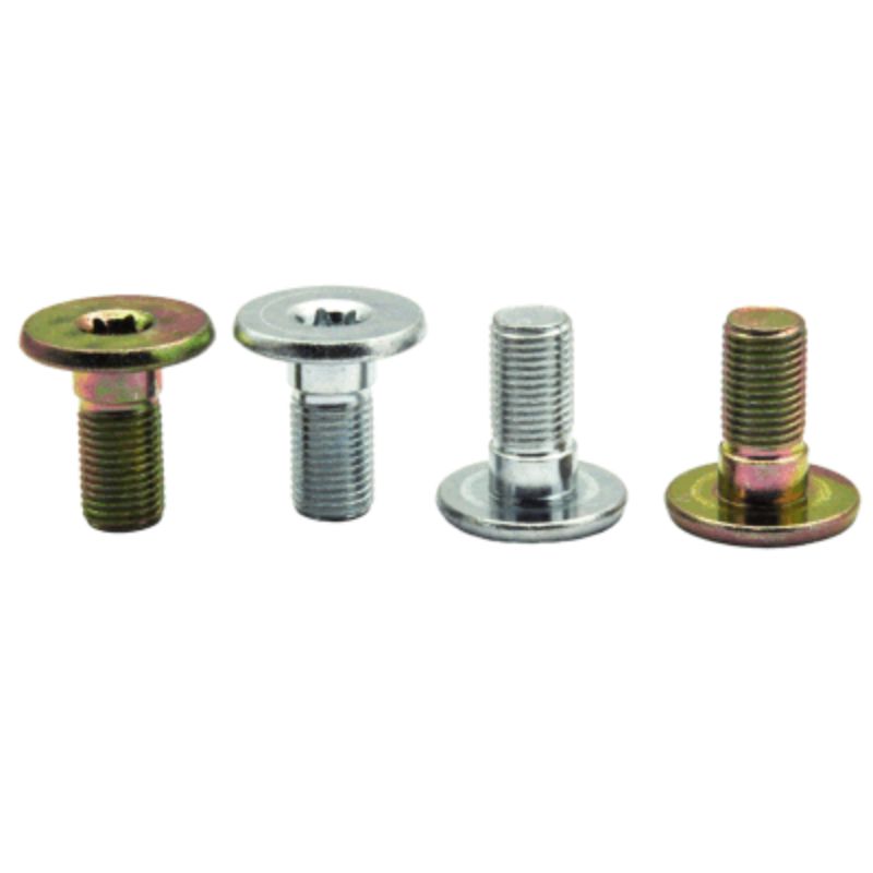 Torx Mounting Screw