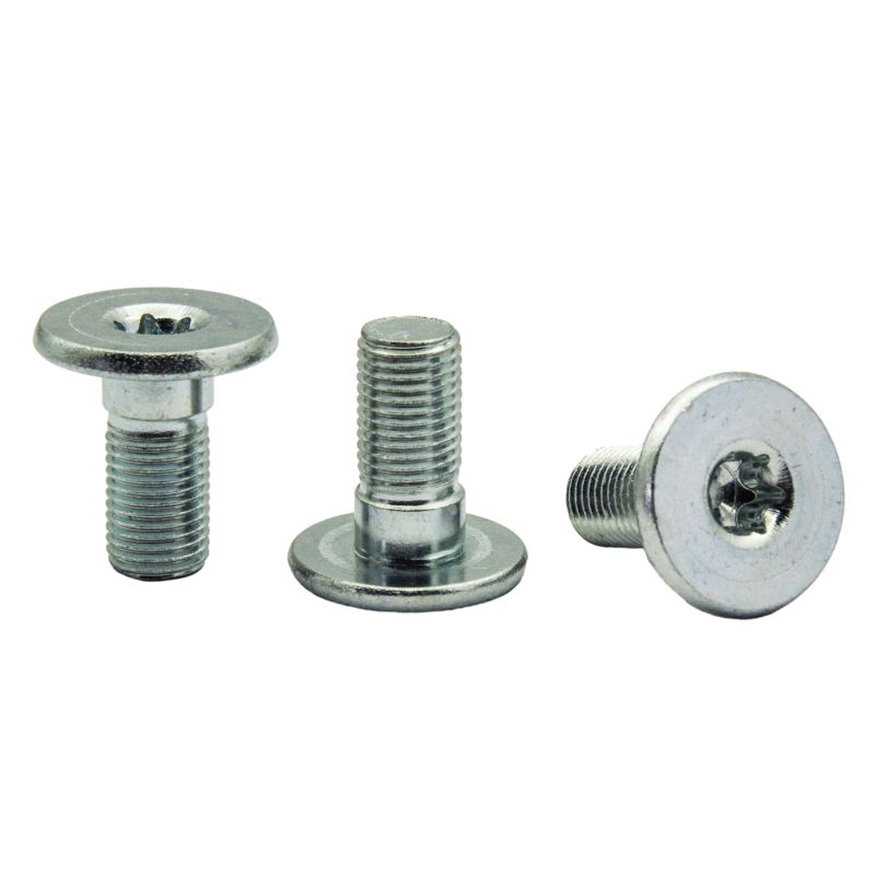 Torx Mounting Screw