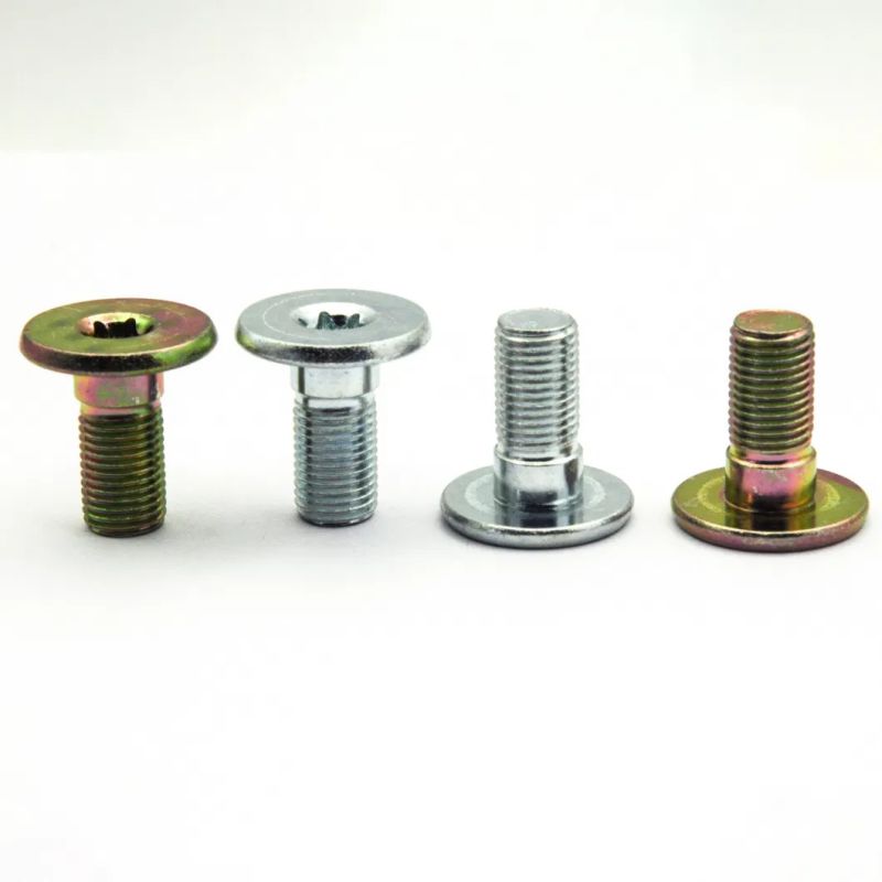 Torx Mounting Screw